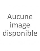 Tables en bronze haut de gamme
